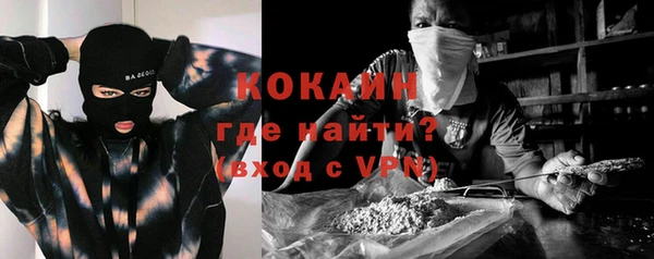 шишки Лиски