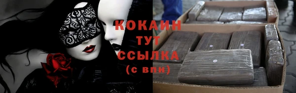 шишки Лиски