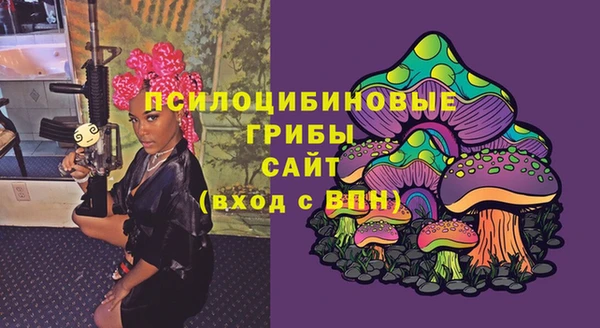 шишки Лиски