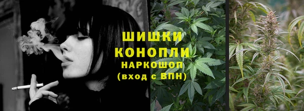 стаф Магас