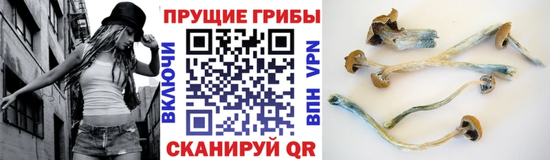 MEGA как зайти  Самара  Галлюциногенные грибы Magic Shrooms 