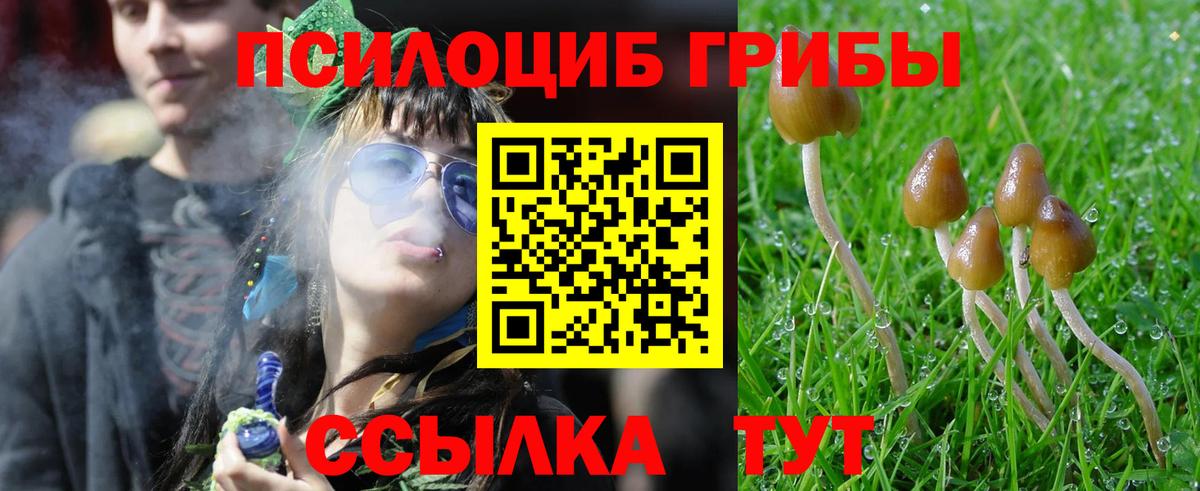 Псилоцибиновые грибы Psilocybine cubensis Самара