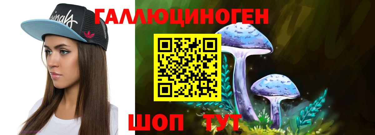 Самара  Псилоцибиновые грибы ЛСД  Вход с VPN  Галлюциногенные грибы Psilocybe 