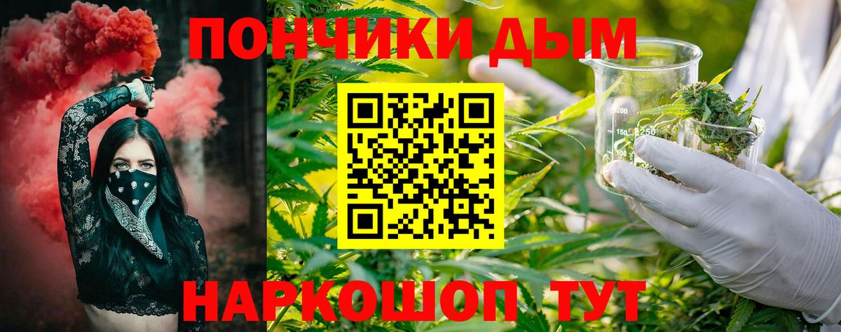 Марихуана Bruce Banner  Вход с VPN  Самара  Каннабис OG Kush  Марихуана планчик 
